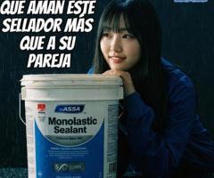 Sellador Monolasstic de ASSA