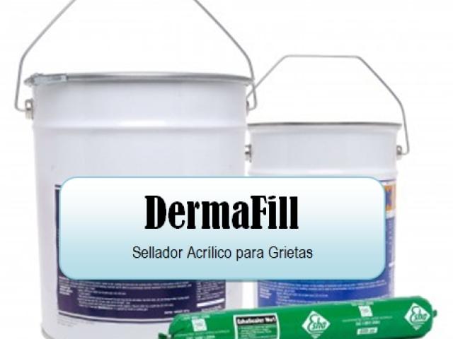 DermaFill Masilla Acrílica (ASSA1051)