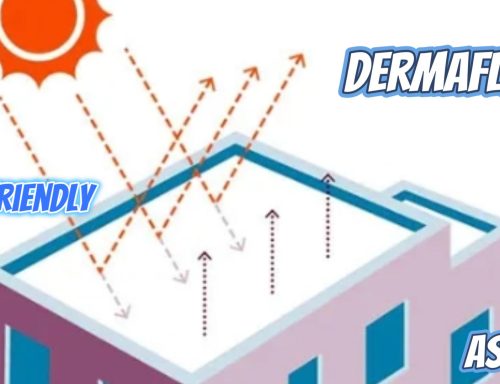 DermaFlex 80G p/c